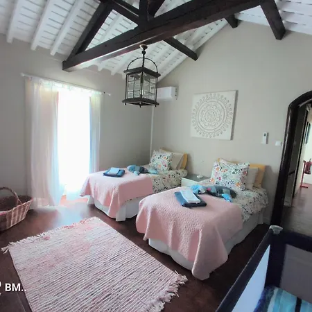 Holiday home Capelas Mansion *